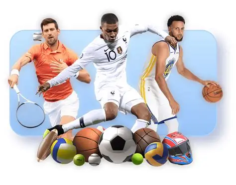 九游(体育)官网-在线体育游戏娱乐平台