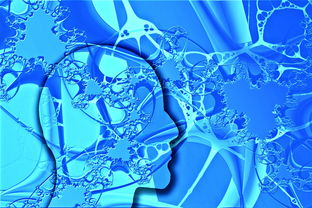 九游娱乐官方-中国足球不同战术体系试验数据，国足战术风格