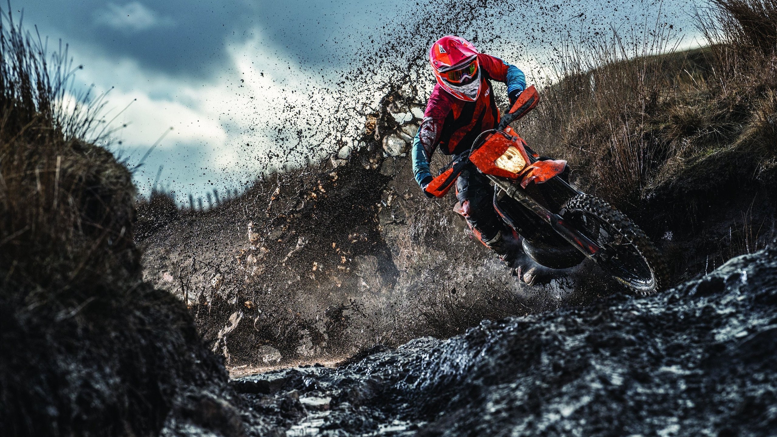 体育世界最励志故事，体育励志故事100字左右